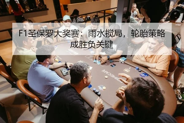 F1圣保罗大奖赛：雨水搅局，轮胎策略成胜负关键（yaxin）